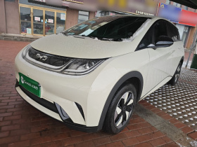 比亚迪 海豚 2025款 420km 自由版