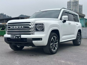 哈弗H9 2024款 2.0T 汽油四驱极境版