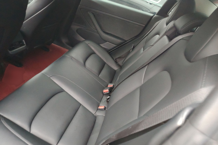 特斯拉 Model 3 2020款 改款 标准续航后驱升级版中控内饰7004