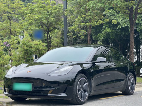特斯拉 Model 3 2021款 标准续航后驱升级版 3D6