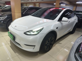 特斯拉 Model Y 2023款 长续航全轮驱动版