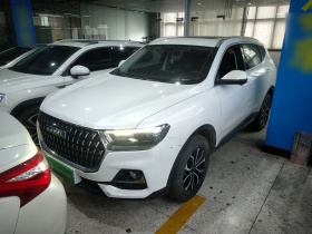 哈弗H6 2023款 国潮版 1.5T 自动都市版