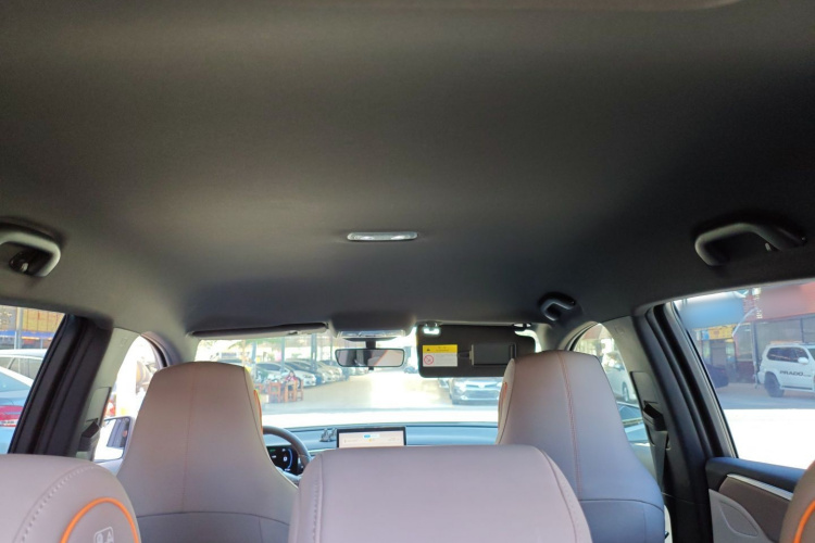 比亚迪 宋Pro新能源 2023款 冠军版 DM-i 71KM领航型局部细节22