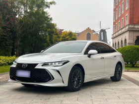 丰田 亚洲龙 2023款 2.5L Touring尊贵版