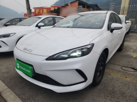 比亚迪 海豹05 DM-i 2025款 DM-i 智驾版 55KM豪华型