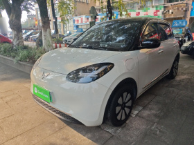 五菱汽车 五菱缤果 2023款 333km 灵犀互联款