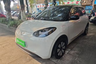 五菱汽车 五菱缤果 2023款 333km 灵犀互联款