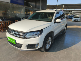 大众 途观 2017款 300TSI 自动两驱丝绸之路风尚版