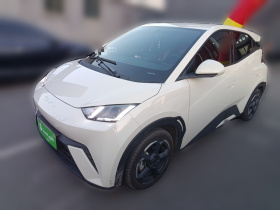 比亚迪 海鸥 2023款 自由版