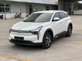 哪吒汽车 哪吒U 2021款 Pro 500 环球版