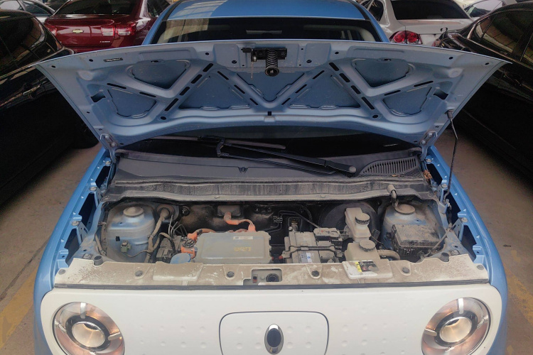 欧拉黑猫 2021款 301km 基础型局部细节24