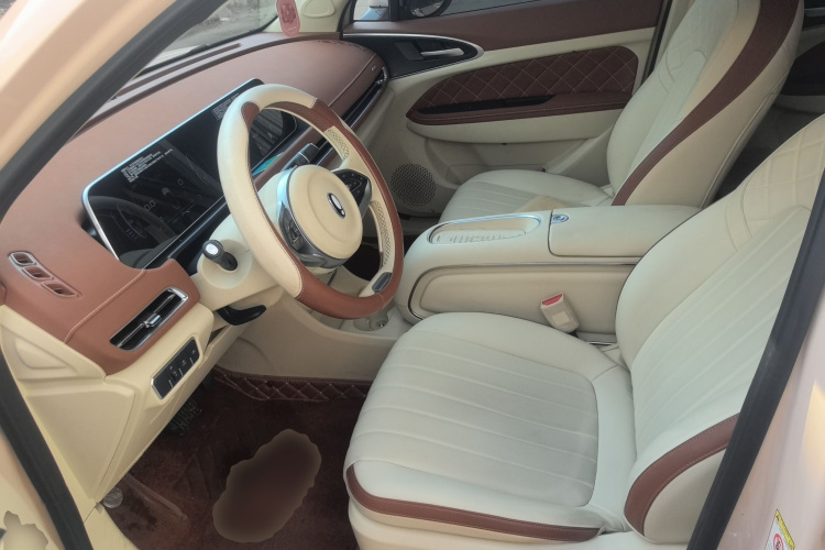 欧拉好猫 2023款 401km标准续航 豪华型 磷酸铁锂中控内饰19