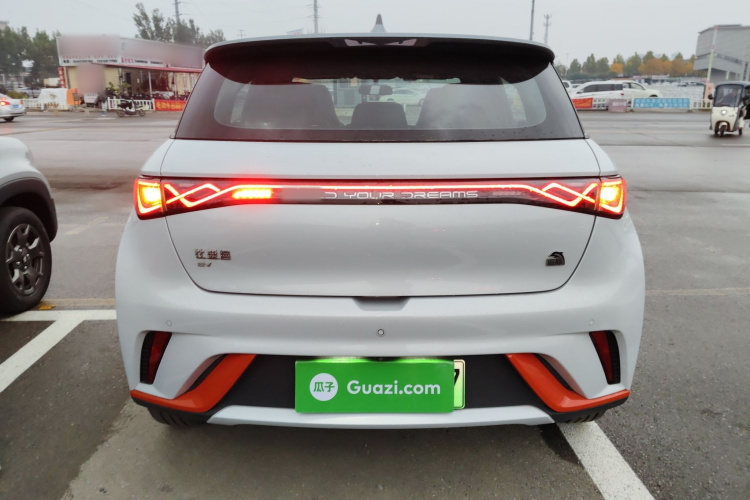 比亚迪 海豚 2021款 405km 自由版车身外观6