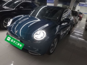 欧拉好猫 2022款 400km标准续航 尊贵型 磷酸铁锂