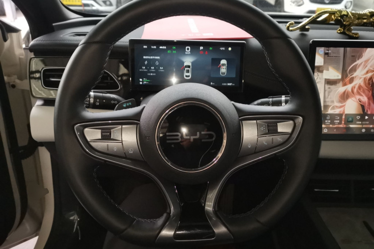 比亚迪 海豹06新能源 2025款 DM-i 智驾版 80KM豪华型局部细节13