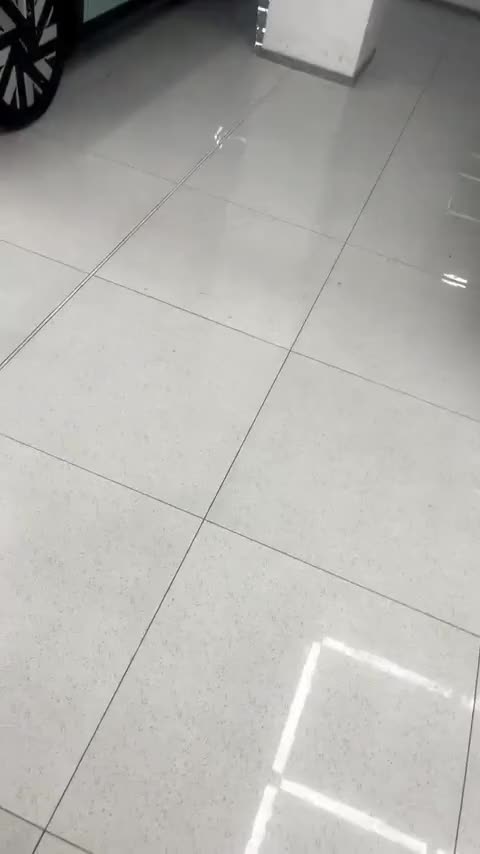 极氪MIX 2025款 智驾版讲解1