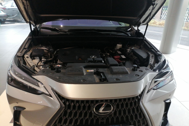 雷克萨斯NX 2022款 260 前驱 创悦版机舱底盘24