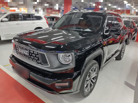 哈弗大狗 PLUS 2023款 2.0T 四驱潮野Plus