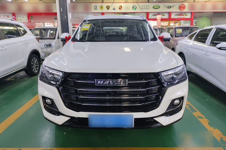 哈弗H6 2025款 1.5T 国潮都市版车身外观6001