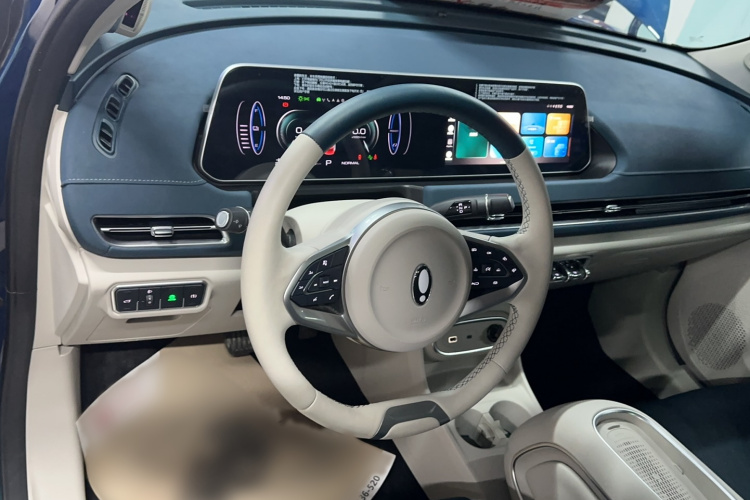 欧拉好猫 2023款 401km标准续航 尊贵型 磷酸铁锂局部细节14