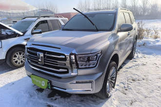 坦克500新能源 2023款 Hi4-T