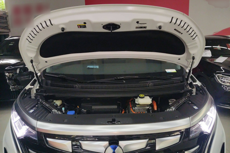 腾势D9 2022款 DM-i 1040 尊贵型局部细节24