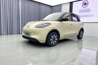 五菱汽车 五菱缤果 2024款 333km 悦享款