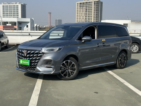 荣威iMAX8 2021款 400TGI Supreme系列尊荣版