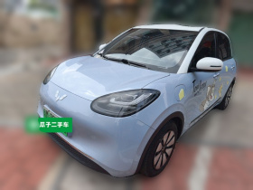 五菱汽车 五菱缤果 2023款 410km 灵犀尊享款