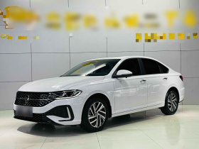 大众 朗逸 2024款 1.5L 自动星空五百万版