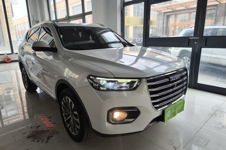 哈弗H6 2020款 1.5GDIT 自动铂金冠军版车身外观3