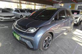 比亚迪 海豚 2024款 荣耀版 420km 自由版