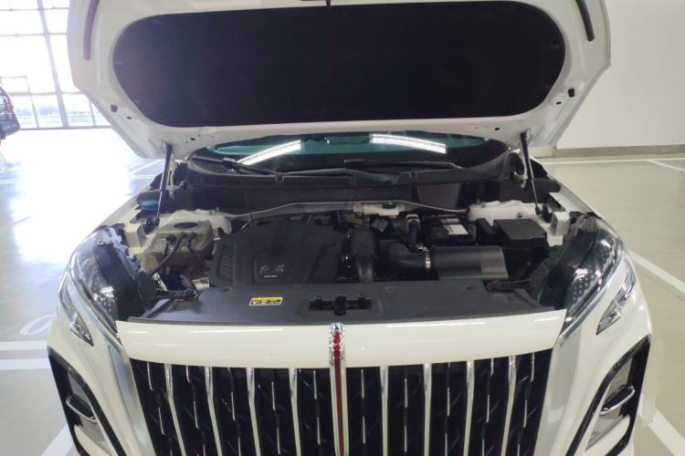 红旗HS3 2023款 1.5T 两驱善为版局部细节24