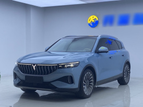 岚图汽车 岚图FREE 2021款 四驱标准增程专属豪华套装