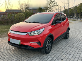 比亚迪 元Pro 2021款 一生一世版