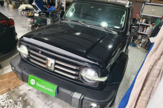 坦克300 2023款 城市版 2.0T 我看型