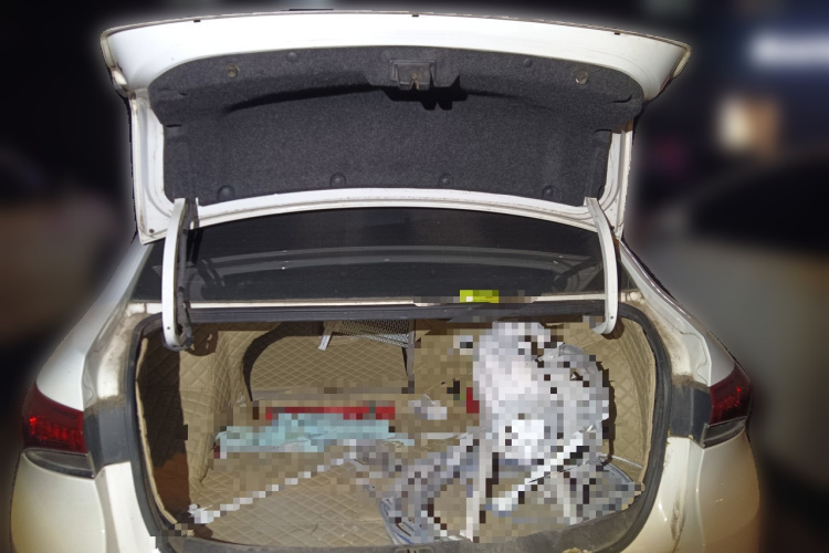 别克 英朗 2018款 15T 双离合精英型 国V中控内饰23