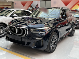 宝马X5(进口) 2019款 xDrive40i M运动套装