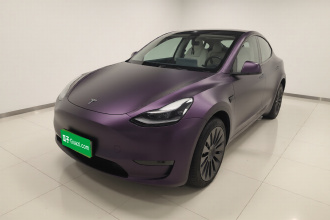 特斯拉 Model Y 2021款 标准续航后驱版