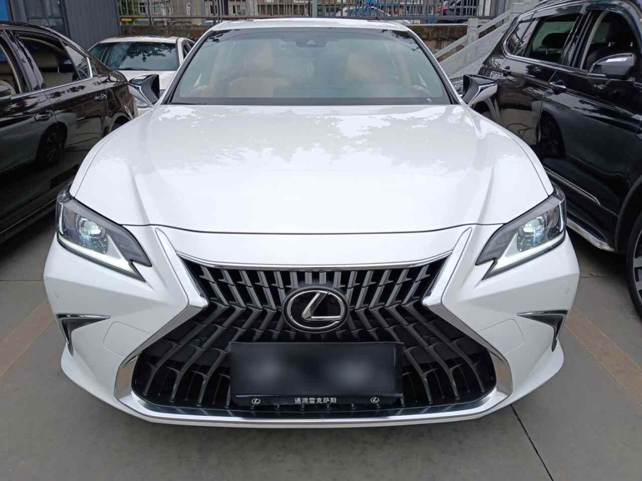雷克萨斯ES 2023款 260 卓越版(1)