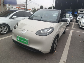 五菱汽车 五菱缤果 2024款 333km 悦享款