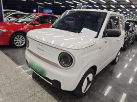 吉利银河 2023款 熊猫mini 200km 耐力熊