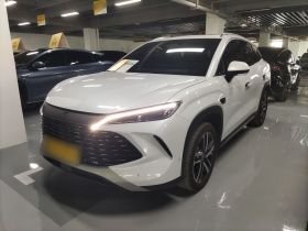 比亚迪 宋L DM-i 2025款 智驾版 112km 超越型