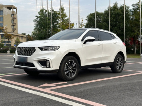 魏牌 VV5 2021款 1.5T 两驱颜先锋