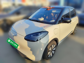 五菱汽车 五菱缤果 2023款 333km 灵犀互联+款