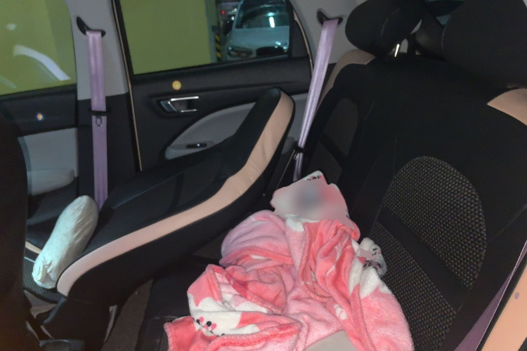 零跑汽车 零跑T03 2022款 珠光版中控内饰21