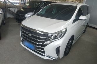 广汽传祺 传祺M8 2024款 领秀系列 390T 豪华版