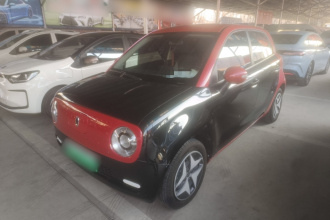 欧拉黑猫 2021款 301km 基础型