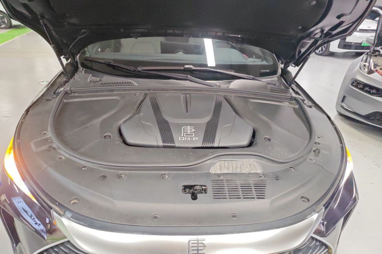 比亚迪 唐新能源 2024款 DM-p 荣耀版 215KM 四驱尊享型局部细节24