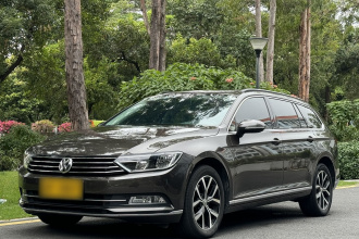 大众 蔚揽 2018款 380TSI 两驱舒行版